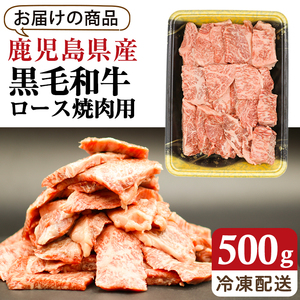 鹿児島県産 黒毛和牛 ロース 500g ( 焼肉用 カット ) 国産 牛肉 焼肉【アグリおおすみ】A288-v01