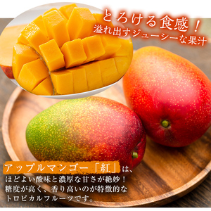 ＜先行予約受付中・2024年6月上旬以降順次発送予定＞＜数量限定＞完熟アップルマンゴー「紅」(1kg以上) マンゴー 果物 フルーツ【大徳産業】 A389
