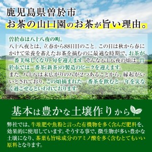 ふるさと納税 鹿児島県 曽於市 鹿児島県産のほうじ茶ティーバッグ(4g