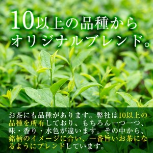 ふるさと納税 鹿児島県 曽於市 鹿児島県産のほうじ茶ティーバッグ(4g