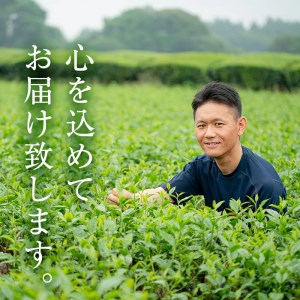 鹿児島県産のほうじ茶ティーバッグ(4g×15P)×6袋 鹿児島県産 ほうじ茶