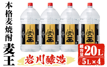 岩川醸造 本格麦焼酎 麦王〈麦〉 (5L×4本・計20L) お酒 焼酎 麦焼酎