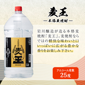 岩川醸造 本格麦焼酎 麦王〈麦〉 (5L×4本・計20L) お酒 焼酎 麦焼酎