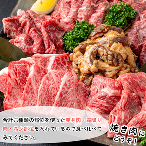 鹿児島県産 黒毛和牛 焼肉 食べ比べ セット(600g) 和牛 牛肉 冷凍【1129】A359-v01