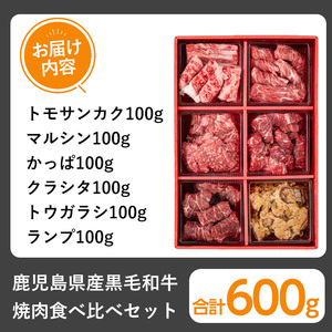 鹿児島県産 黒毛和牛 焼肉 食べ比べ セット(600g) 和牛 牛肉 冷凍【1129】A359-v01