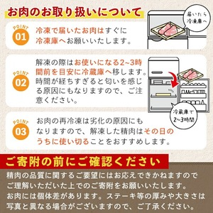 【訳あり】鹿児島黒牛肩ロース厚切り焼肉用(900g・300g×3P) 黒牛 和牛 牛肉【ナンチク】B159