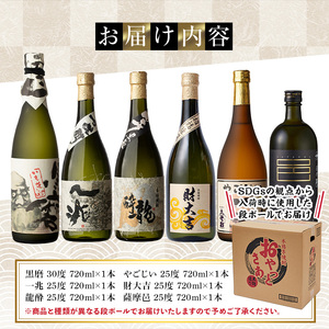 鹿児島 本格 芋焼酎 小瓶 6本 セット(各720ml)【大隅家】B95-v01