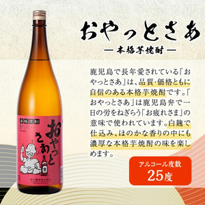 曽於 本格 焼酎 一升瓶 12本 セット 小瓶 芋焼酎 飲み比べ (1800ml×12本・720ml×1本) 【大隅家】D21-v03