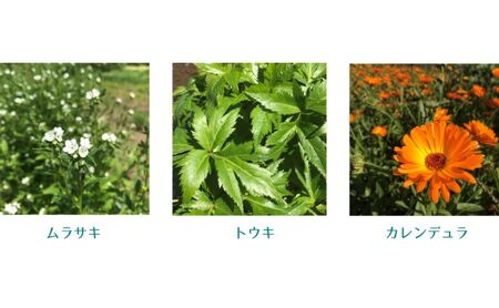 太陽と畑のハンドクリーム 190g 陸別町産ハーブ使用 北海道 陸別町