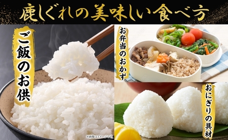 りくべつ鹿しぐれ【5個】鹿肉 肉 ジビエ 冷蔵便 送料無料 エゾシカ フキ ふき 粗挽き肉 上質 鹿 濃厚 旨味 しっとり 80g×5 ご飯 お供 白米 白飯 お供 お弁当 しぐれ丼 おにぎりお酒 有機醤油 生姜 つまみ 夕食 北海道 陸別町