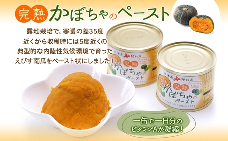 栄機能性表示食品 ビタミンA 北海道陸別町産 えびす南瓜ペースト 6缶