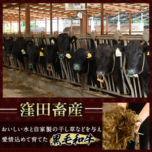 K-049 鹿児島県産黒毛和牛100％使用！ソーセージ3パック(120g×1P・5本入り、150g×1P・3本入り、150g×1P・5本入り)【窪田畜産】霧島市 肉 牛肉 牛 黒毛和牛 加工品 フランクフルト ホットドッグ BBQ バーベキュー おつまみ お弁当