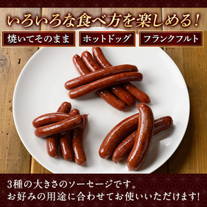 K-049 鹿児島県産黒毛和牛100％使用！ソーセージ3パック(120g×1P・5本入り、150g×1P・3本入り、150g×1P・5本入り)【窪田畜産】霧島市 肉 牛肉 牛 黒毛和牛 加工品 フランクフルト ホットドッグ BBQ バーベキュー おつまみ お弁当