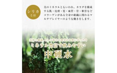 K-185 ＜定期便・全3回＞関平鉱泉水10L×2箱ずつお届け(計6箱)【関平鉱泉所】 霧島市 シリカ シリカ水 水 シリカミネラルウォーター