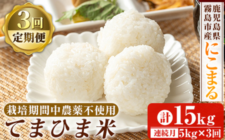 K-198-E 【3回定期便】令和7年産 てまひま米(品種:にこまる)(計15kg：5kg×3回)【末蜜農園】霧島市 お米 精米 白米 米 こめ コメ ご飯 ごはん 定期便 栽培期間中農薬不使用