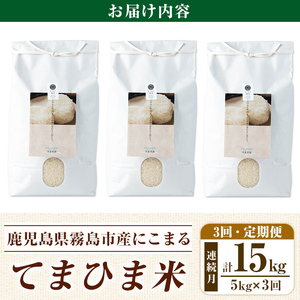 K-198-E 【3回定期便】令和7年産 てまひま米(品種:にこまる)(計15kg：5kg×3回)【末蜜農園】霧島市 お米 精米 白米 米 こめ コメ ご飯 ごはん 定期便 栽培期間中農薬不使用
