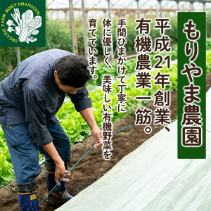 K-226 有機にんじん（合計3.5kg) 【もりやま農園】霧島市 国産 有機栽培 野菜 やさい 人参 ニンジン