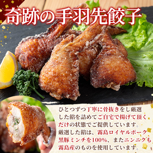 K-285-C 霧島高原純粋黒豚使用！餃子2種セット(手羽先餃子5個×1P・むじょか餃子15個×2P 計35個)【MAGONIMO餃子】霧島市 餃子 ぎょうざ 手羽 生餃子 黒豚 豚 惣菜 総菜 時短 おかず