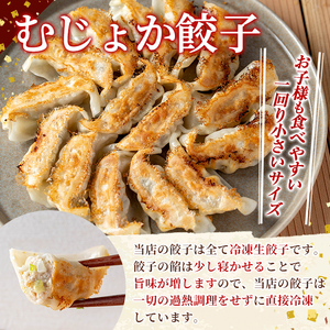 K-285-C 霧島高原純粋黒豚使用！餃子2種セット(手羽先餃子5個×1P・むじょか餃子15個×2P 計35個)【MAGONIMO餃子】霧島市 餃子 ぎょうざ 手羽 生餃子 黒豚 豚 惣菜 総菜 時短 おかず