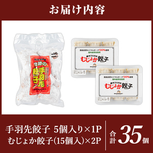 K-285-C 霧島高原純粋黒豚使用！餃子2種セット(手羽先餃子5個×1P・むじょか餃子15個×2P 計35個)【MAGONIMO餃子】霧島市 餃子 ぎょうざ 手羽 生餃子 黒豚 豚 惣菜 総菜 時短 おかず