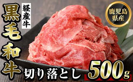 K-323 鹿児島県産黒毛和牛(経産牛)おためし切り落とし(500g)【ビーフ倉薗】霧島市 牛肉 スライス 切落し 国産 鹿児島県産 黒毛和牛 肉 精肉 牛