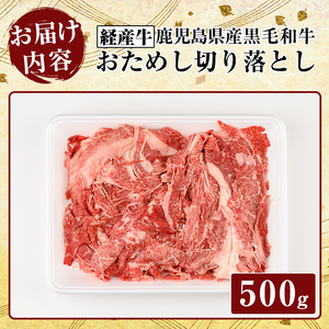 K-323 鹿児島県産黒毛和牛(経産牛)おためし切り落とし(500g)【ビーフ倉薗】霧島市 牛肉 スライス 切落し 国産 鹿児島県産 黒毛和牛 肉 精肉 牛