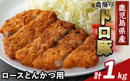 K-382-B 鹿児島県産霜降りトロ豚 ロースとんかつ用(計1kg)【ふるさと産直バザール】霧島市 肩ロース 豚カツ トンカツ 豚肉 国産 鹿児島県産 肉 精肉 小分け