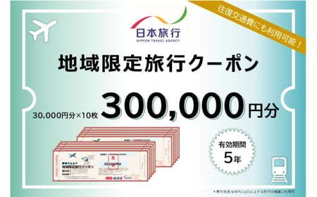 K-343 鹿児島県霧島市 日本旅行 地域限定旅行クーポン(300,000円分)【日本旅行】霧島市 チケット 旅行 宿泊券 ホテル 観光 旅行 旅行券 交通費 体験 宿泊 夏休み 冬休み 家族旅行 一人旅 トラベルクーポン 霧島