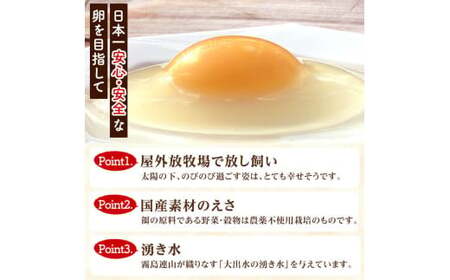 K-173-B ＜12回定期便＞オーガニック卵「お多福たまご」(計360個・10個入×3パック 12回)【お多福たまご】有機JAS オーガニック 放し飼い自然卵  霧島市 国産 九州産 鹿児島県産 たまご 卵 鶏卵 朝食 定期便