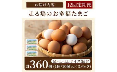 K-173-B ＜12回定期便＞オーガニック卵「お多福たまご」(計360個・10個入×3パック 12回)【お多福たまご】有機JAS オーガニック 放し飼い自然卵  霧島市 国産 九州産 鹿児島県産 たまご 卵 鶏卵 朝食 定期便