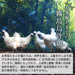 K-331-A ＜通常便＞オーガニック烏骨鶏卵「霧島烏骨鶏」(計12個・6個入×2箱)【お多福たまご】有機JAS 放し飼い自然卵 霧島市 国産 九州産 鹿児島県産 たまご 卵 鶏卵 烏骨鶏 うこっけい 朝食 通常便