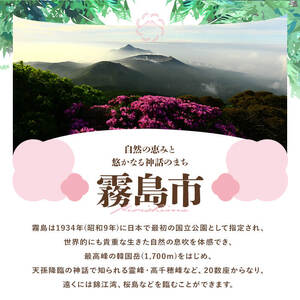 K-397 鹿児島県霧島市の対象ツアーに使えるHISふるさと納税クーポン(3,000円分)【エイチ・アイ・エス】霧島市 旅行 ツアー 観光 トラベル 旅 チケット 電子クーポン 旅行券