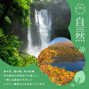 K-397 鹿児島県霧島市の対象ツアーに使えるHISふるさと納税クーポン(3,000円分)【エイチ・アイ・エス】霧島市 旅行 ツアー 観光 トラベル 旅 チケット 電子クーポン 旅行券