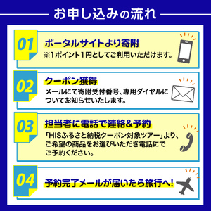 K-397 鹿児島県霧島市の対象ツアーに使えるHISふるさと納税クーポン(3,000円分)【エイチ・アイ・エス】霧島市 旅行 ツアー 観光 トラベル 旅 チケット 電子クーポン 旅行券