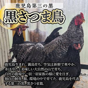 K-419 鹿児島県産黒さつま鶏 特選もも肉(2枚・計700g以上)【ビッグバード・カピリナ】霧島市 国産 鶏肉 鳥肉 モモ肉 鶏もも肉 肉 とりにく