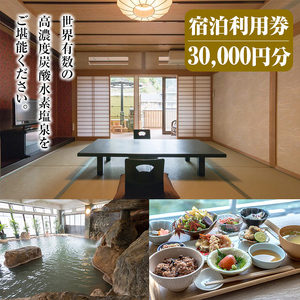 K-428 妙見温泉ねむ 宿泊利用券(30,000円分)【妙見温泉ねむ】霧島市 鹿児島 霧島 宿泊券 温泉 宿泊 宿 チケット 温泉 温泉宿 旅館 旅行 九州