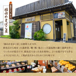 K-537 お魚食べてる？小分けで便利な冷凍さつま揚げ100本セット(10本入り×10袋) 【植山かまぼこ屋】 鹿児島 霧島市 さつま揚げ さつまあげ 薩摩揚げ つけあげ 練り物 酒のつまみ 惣菜 温めるだけ 冷凍