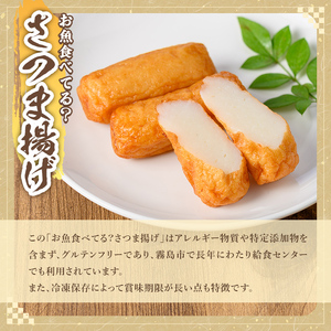 K-537 お魚食べてる？小分けで便利な冷凍さつま揚げ100本セット(10本入り×10袋) 【植山かまぼこ屋】 鹿児島 霧島市 さつま揚げ さつまあげ 薩摩揚げ つけあげ 練り物 酒のつまみ 惣菜 温めるだけ 冷凍