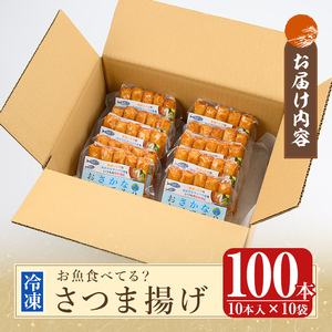 K-537 お魚食べてる？小分けで便利な冷凍さつま揚げ100本セット(10本入り×10袋) 【植山かまぼこ屋】 鹿児島 霧島市 さつま揚げ さつまあげ 薩摩揚げ つけあげ 練り物 酒のつまみ 惣菜 温めるだけ 冷凍