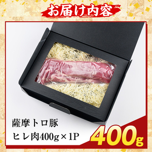 K-486-A 鹿児島県産 薩摩トロ豚 ヒレ肉(計400g)【ふるさと産直バザール】霧島市 ヒレ肉 国産 鹿児島県産 肉 精肉
