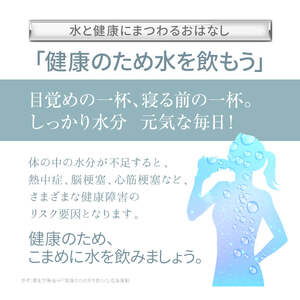 K-150-C 《3回定期便》シリカナノコロイドウォーター Si-era (シエラ) 500mlペットボトル×48本ずつお届け(計144本)【シリカテックス宇部】霧島市 シリカ シリカ水 シリカウォーター 美と健康 美容