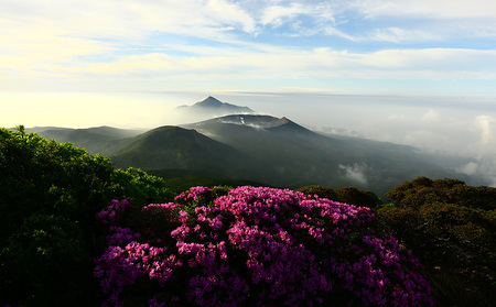 K-554 鹿児島県霧島市 JTBふるさと旅行クーポン30,000円分(Eメール発行)【JTB ふるさと開発事業部】霧島市 チケット 旅行 宿泊券 ホテル 観光 旅行券 体験 宿泊 夏休み 冬休み 家族旅行 一人旅 トラベルクーポン 霧島