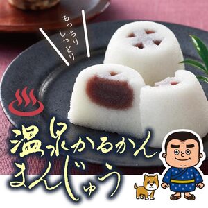 K-593-A 温泉かるかんまんじゅう1箱8個入り(計8個) 【財宝】 霧島市 和菓子 個包装 ギフト かるかん 饅頭 まんじゅう お菓子 九州 銘菓 お土産 あんこ スイーツ おみやげ 贈り物 こし餡 温泉水使用 鹿児島県