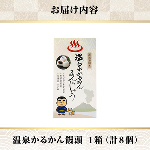 K-593-A 温泉かるかんまんじゅう1箱8個入り(計8個) 【財宝】 霧島市 和菓子 個包装 ギフト かるかん 饅頭 まんじゅう お菓子 九州 銘菓 お土産 あんこ スイーツ おみやげ 贈り物 こし餡 温泉水使用 鹿児島県