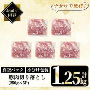 A5-033-A 国産!鹿児島県産豚肉切り落とし真空小分け 250g×5P(計1.25kg)【肉の豊楽】霧島市 豚肉 ぶたにく 豚 小分け 切り落とし 真空パック 切落し 冷凍