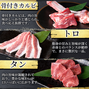 K-602 《ゲンセン霧島認定》霧島高原純粋黒豚焼肉・鶏刺しセット(計600g)オリジナル黒酢たれ付!【焼肉厨房わきもと】霧島市 豚肉 ヤキニク 焼き肉 国産 鶏肉 肉 豚 鶏 セット