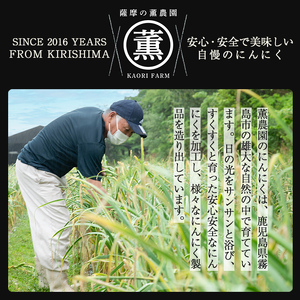 K-631 薫の塩麴にんにく(500g×2本)【薩摩の薫農園】霧島市 ニンニク 塩麴 調味料 万能調味料 酵素 肉 野菜 パスタ