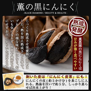 K-631 薫の塩麴にんにく(500g×2本)【薩摩の薫農園】霧島市 ニンニク 塩麴 調味料 万能調味料 酵素 肉 野菜 パスタ