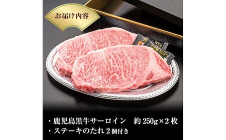 C-013 ＜Ａ５ランク＞黒毛和牛ステーキ計約500g(250g×2枚)※北海道・沖縄配送不可※【今肉屋】 ステーキ サーロイン ステーキ肉 ステーキ牛肉 国産 牛肉 A5