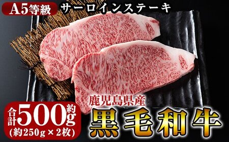 C-030 鹿児島県産黒毛和牛＜A5等級＞黒毛和牛サーロインステーキ約250ｇ×2枚【きりしま畜産】 肉 牛肉 サーロイン ステーキ